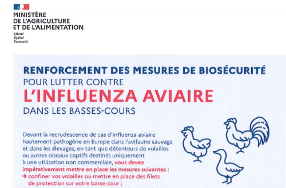 Renforcement des mesures de biosécurité Mairie de Vert le Grand